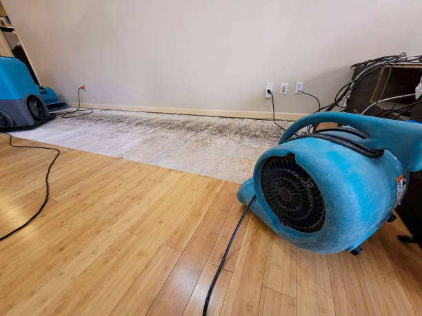 Professional Basement Flood Cleanup technician working in Redford, MI